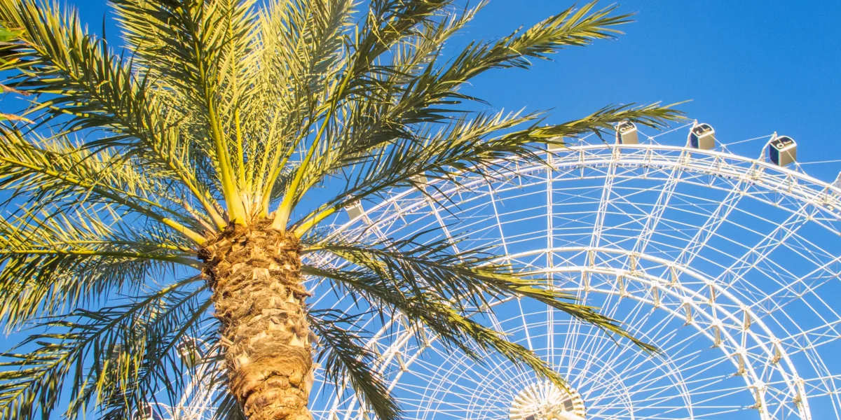 Orlando Ferris Wheel and Palm Tree