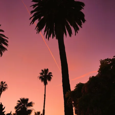 Willow heisler x UR 6 Bm Fn0 unsplash